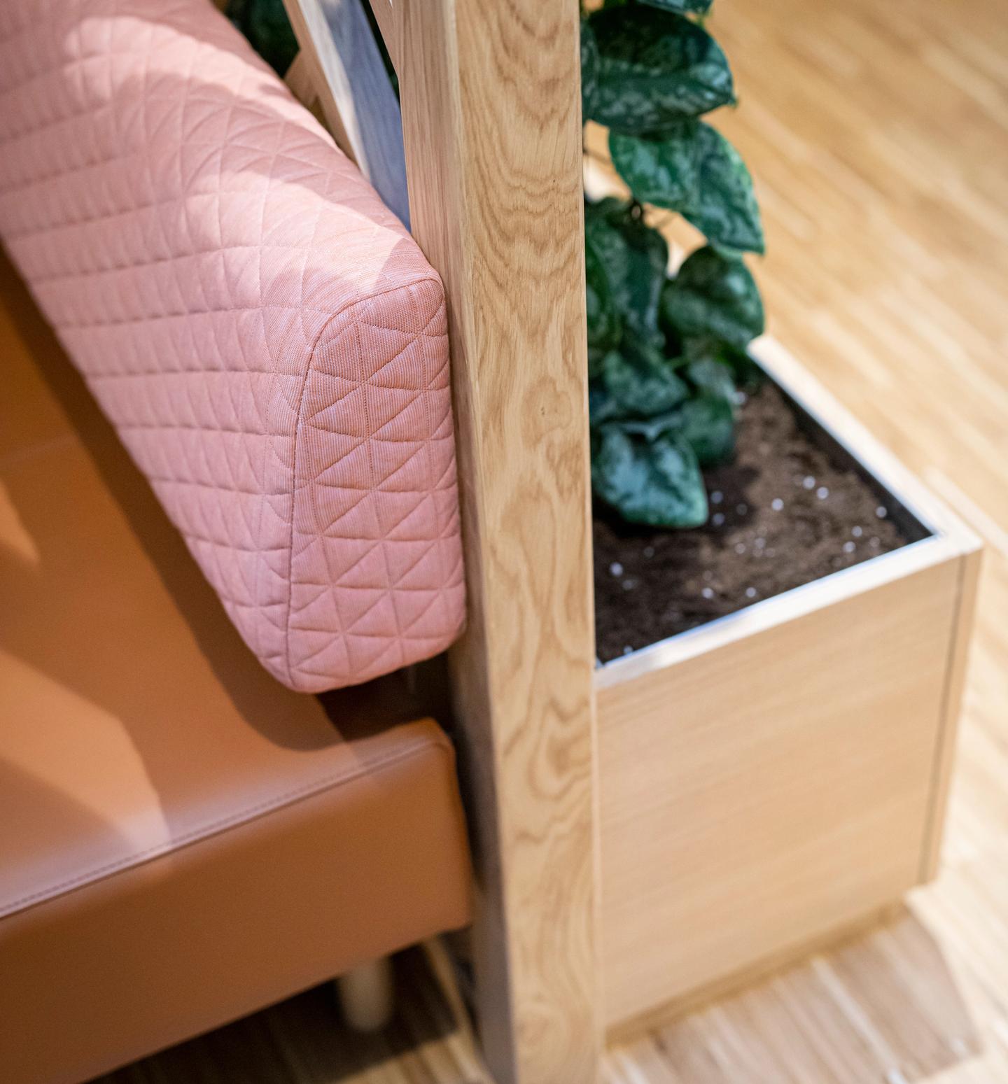 Decorative plants at Fremtind office