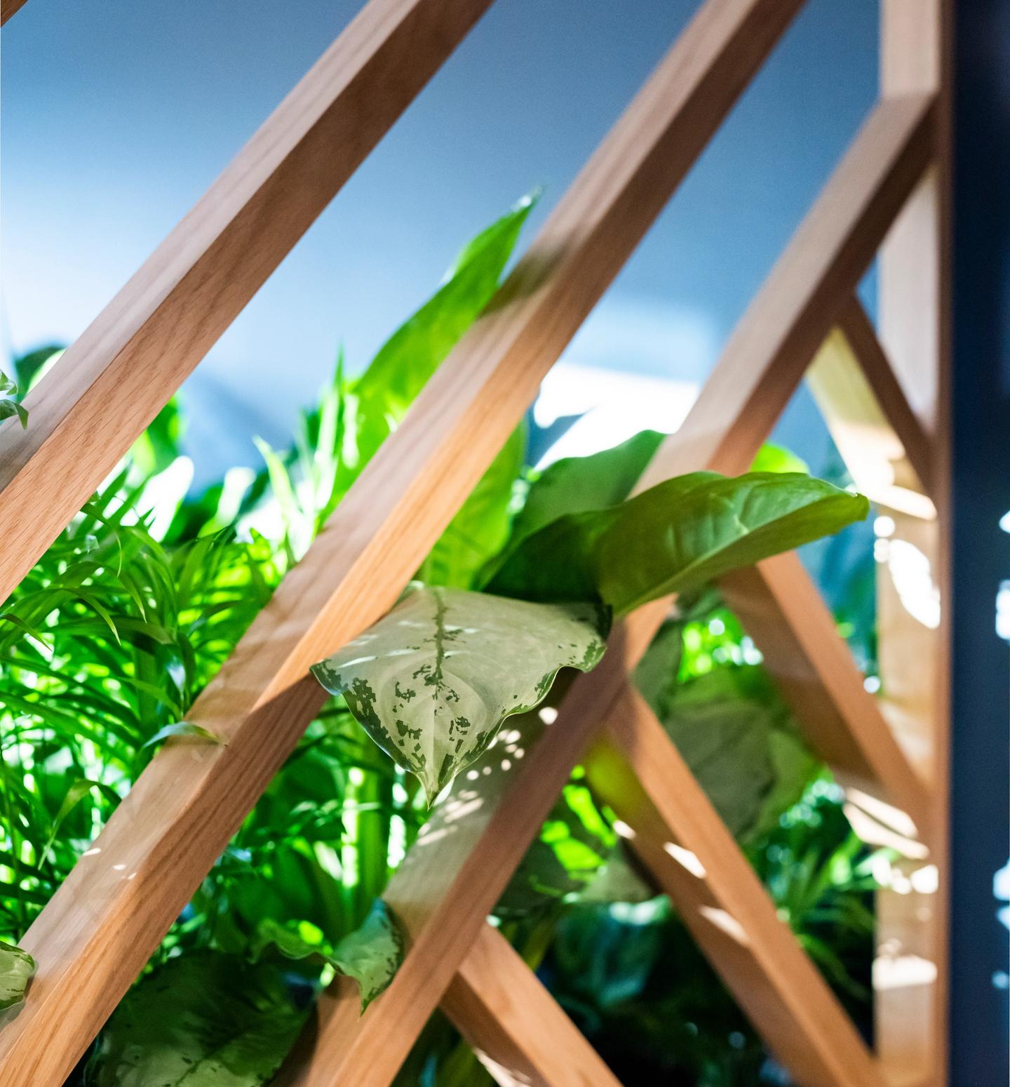 Decorative wall at Fremtind office