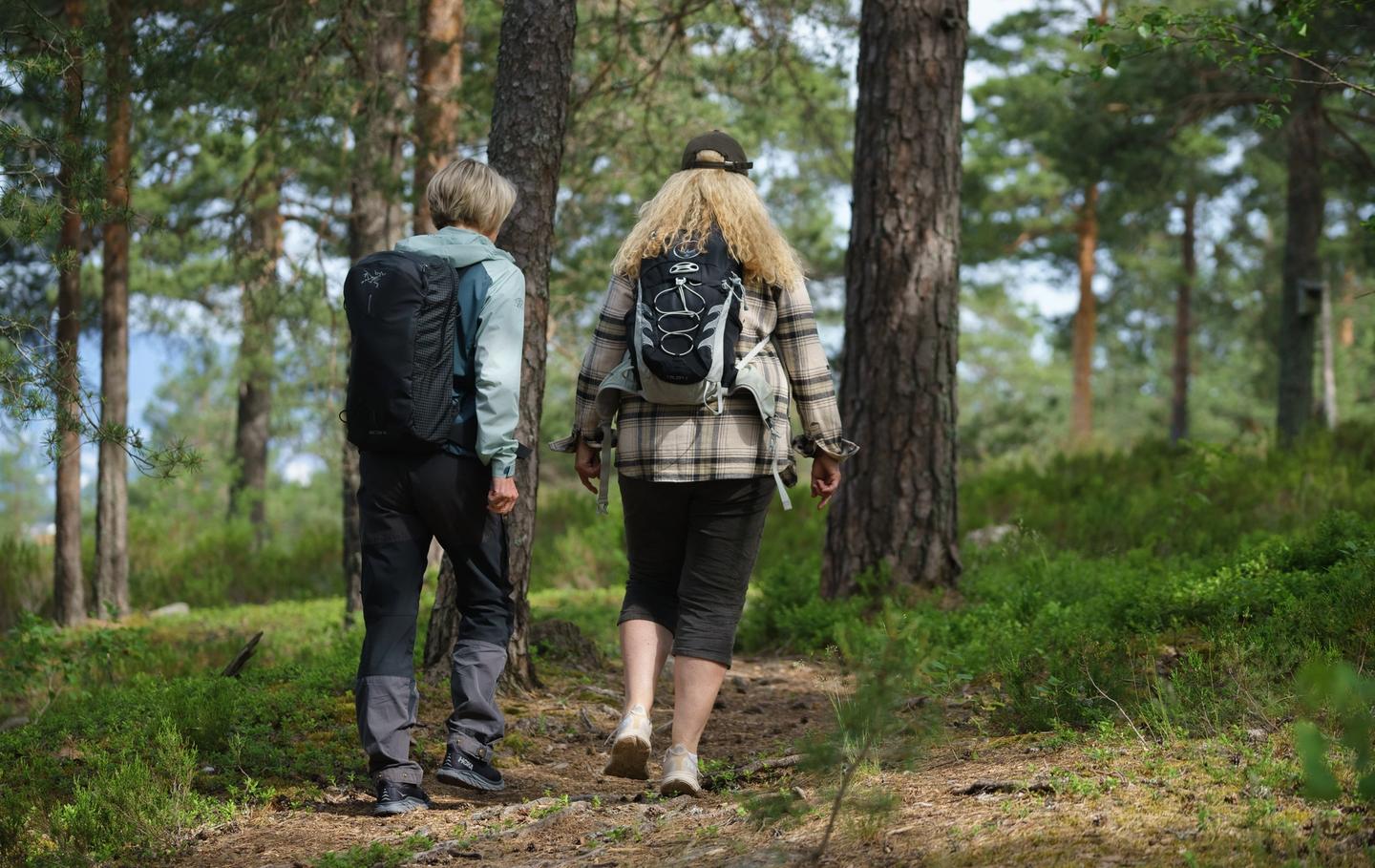 Employees going for a walk in the forest